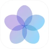 ReMember logo